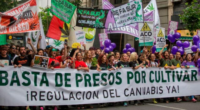 Gobierno de Argentina legaliza el autocultivo de marihuana con fines medicinales