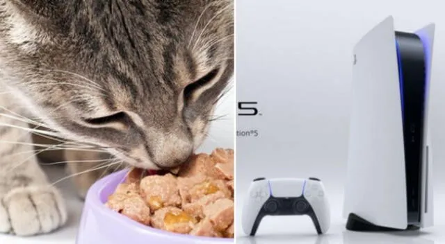 Usuarios en Reino Unido se sorprendieron al abrir su empaque de su supuesto pedido de una consola de PlayStation 5, pero afirmaron que recibieron comida de gatos y hasta kits de ejercicios.