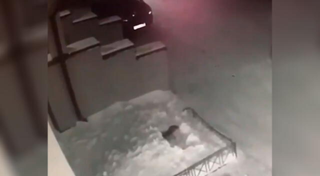 Niña cae desde un cuarto piso y sobrevive gracias a un montón de nieve