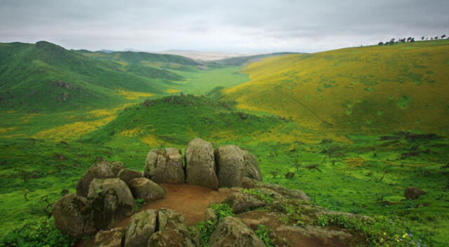 Lomas de Lachay.