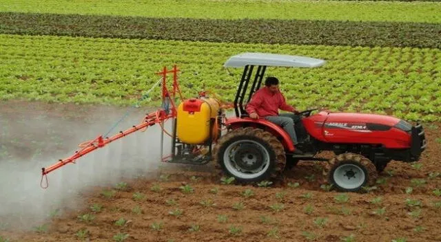 La agricultura es una de las más importantes actividades económicas.