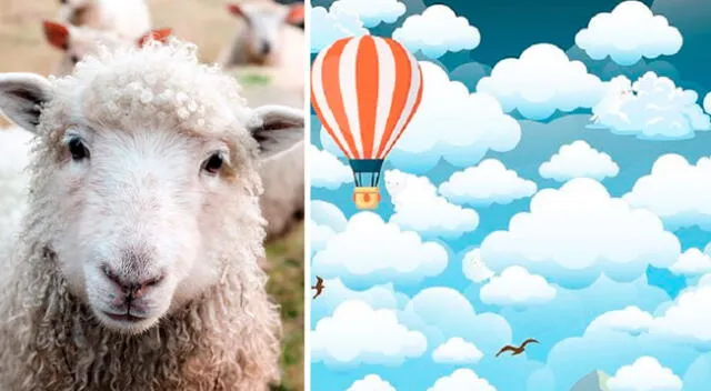 Encuentra a las ovejas escondidas entre las nubes