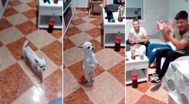 El perrito decidió acompañar a sus dueños con sus pasos de baile.