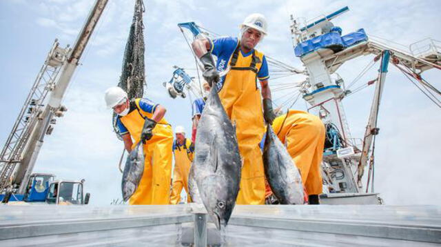 En el Perú existen dos clases de pesca: industrial y artesanal.