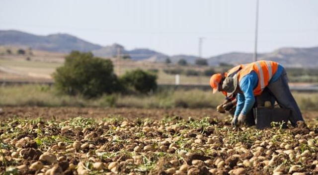 El sector agrario ha perdido más de 6 mil millones de soles en todos estos meses.