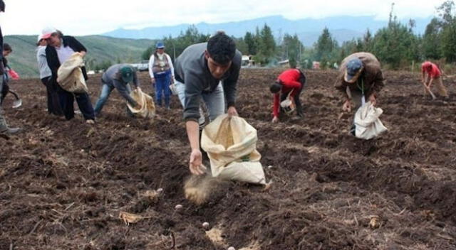 El sector agrario ha perdido más de 6 mil millones de soles en todos estos meses.