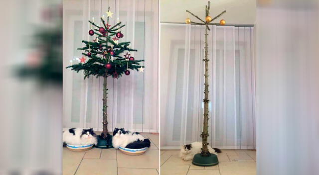Con trucos simples ya no es necesario que elijas entre tener una mascota o un fabuloso árbol de Navidad.