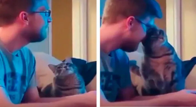 La tierna manera de un gato para demostrar su amor hacia su dueño