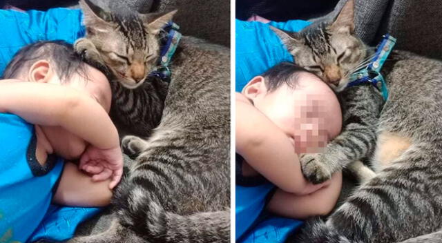 Gatito cuida al hijo de sus dueños como si fuera suyo mientras ellos no están