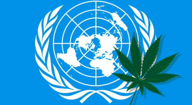 ONU reconoce las utilidades y propiedades médicas del cannabis