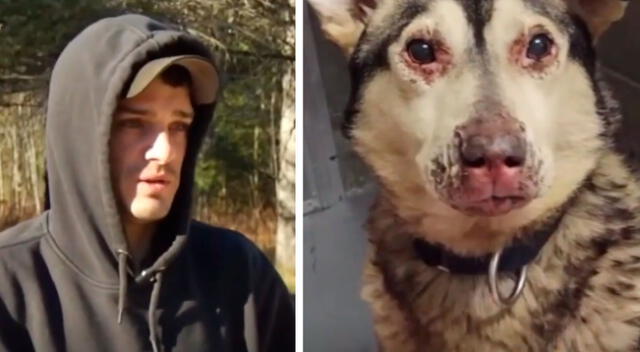 Bombero salva la vida de 46 perros que iban a morir en un incendio