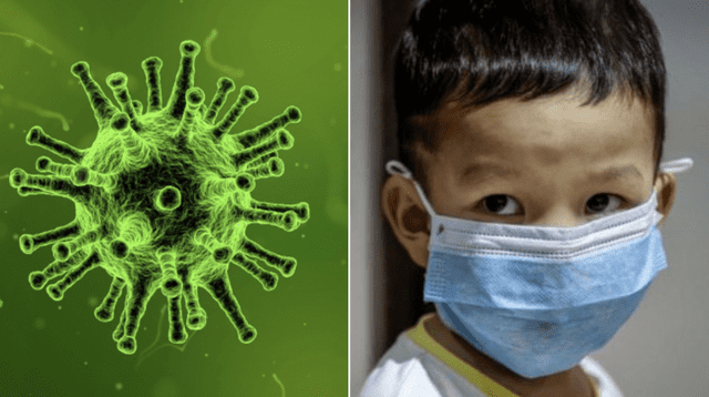 Entérate aquí cómo puedes evitar el contagio del norovirus.
