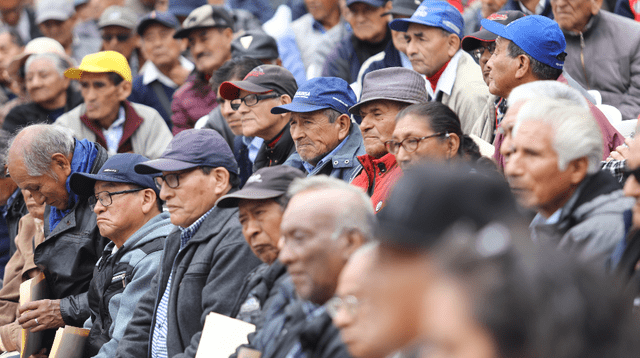 Jubilados de la ONP podrán recibir su pensión y gratificación de fin de año desde este lunes 7 hasta el viernes 11 de diciembre, según el cronograma de la primera letra de su apellido.