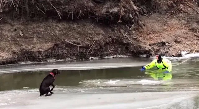 Bombero arriesgo su vida para salvar a una perrita atrapada en un río congelado