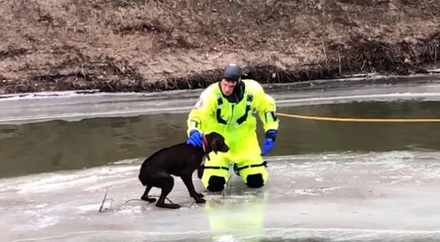 Bombero arriesgo su vida para salvar a una perrita atrapada en un río congelado