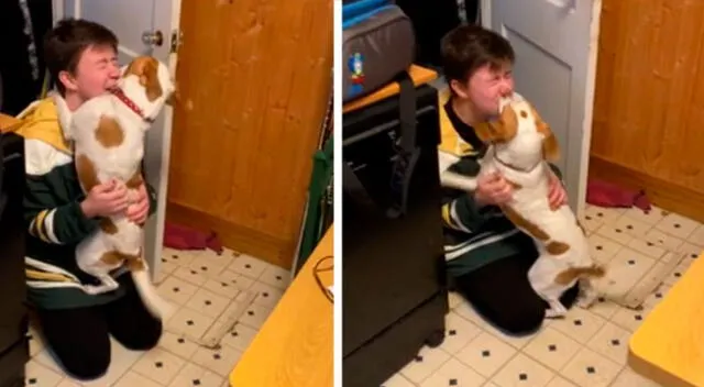 La tierna reacción de un perro al reencontrarse con su dueña luego de cuatro meses