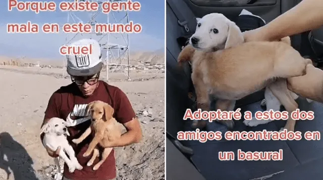 El clip cuenta con miles de reproducciones en TikTok.