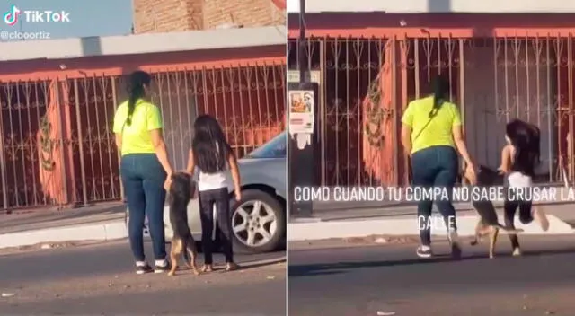 El perrito cruzó gracias a la ayuda de sus dueñas.