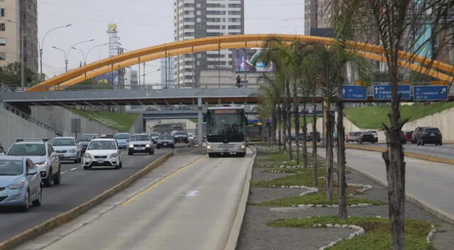 Buses troncales del Metropolitano podrán trasladar hasta 28 usuarios de pie.