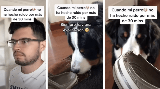 La escena causó la risa de varios usuarios en las redes sociales.