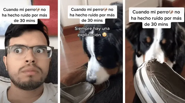 El clip cuenta con miles de reproducciones en TikTok.