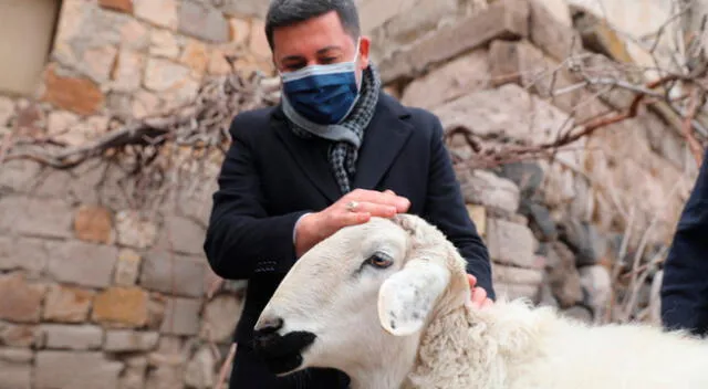 Los usuarios de Twitter se conmovieron por el gesto del alcalde turco, quien se muestra comprensivo con las ovejas.