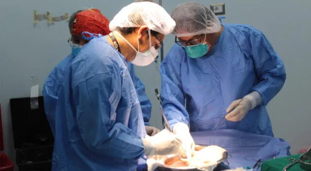 Trasplantes de riñones dieron segunda oportunidad de vida a pacientes.