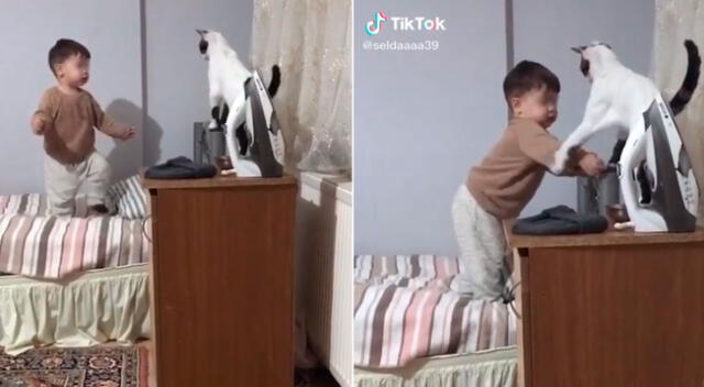 El felino trató de impedir que el bebé le quitara el objeto sobre la mesa.