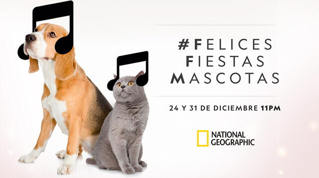 Felices Fiestas Mascotas