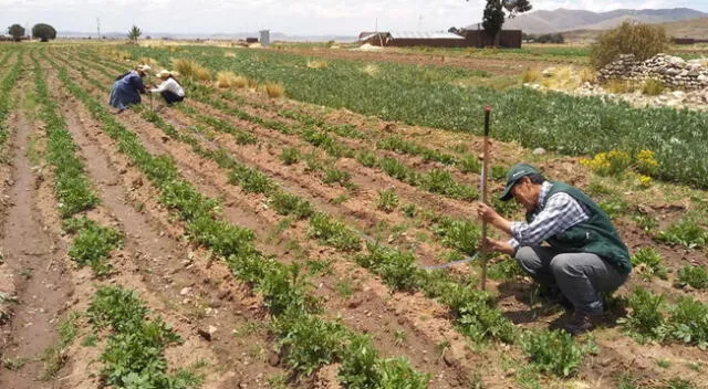 Congreso de la República debate nueva ley agraria. Ministros de Trabajo y Economía se presentaron ante el Pleno para mostrar posición del Ejecutivo.