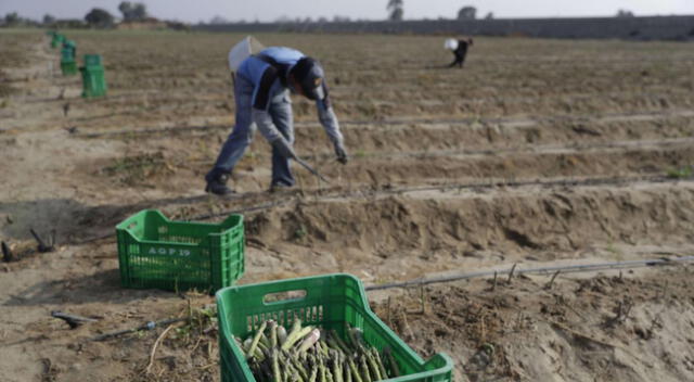 Congreso de la República debate nueva ley agraria. Ministros de Trabajo y Economía se presentaron ante el Pleno para mostrar posición del Ejecutivo.