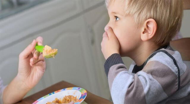 No los obligues a comer igual que tú.