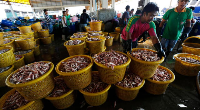 La mayoría de las personas contagiadas son birmanos que vienen a trabajar en el sector pesquero.
