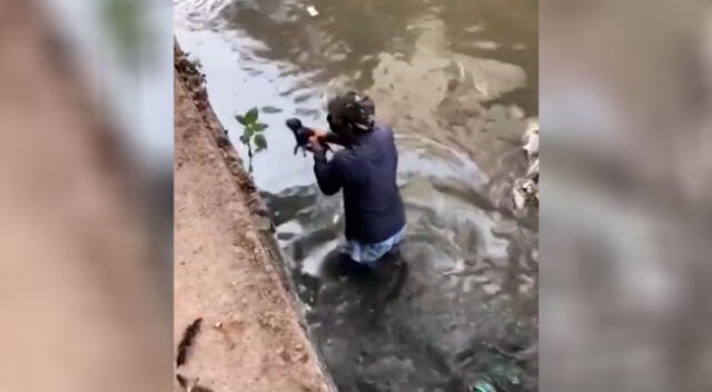 La valiente acción de un joven para salvar a un cachorro de una muerte segura