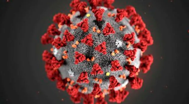 Segunda nueva cepa de coronavirus es detectada en Reino Unido.