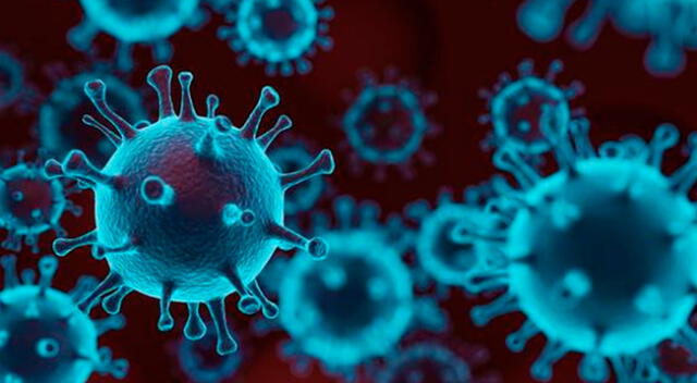 La nueva cepa del coronavirus llegó a Sudamérica
