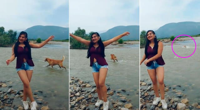 En el viral de TikTok se puede ver a la joven haciendo gala de sus pasos de baile, sin darse cuenta que su mascota estaba cruzando el río.