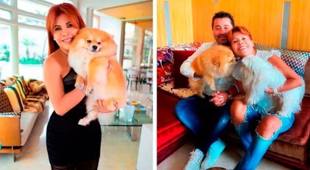 Magaly Medina y Alfredo Zambrano se reencuentran con sus mascotas tras regresar al Perú.