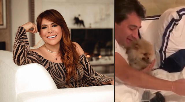 Magaly Medina y Alfredo Zambrano se reencuentran con sus mascotas tras regresar al Perú.