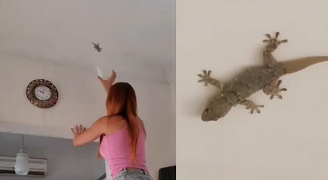 Xoana González comparte gracioso momento que tuvo con una lagartija.