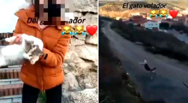 La mujer arrojó al felino desde lo alto de un barranco.