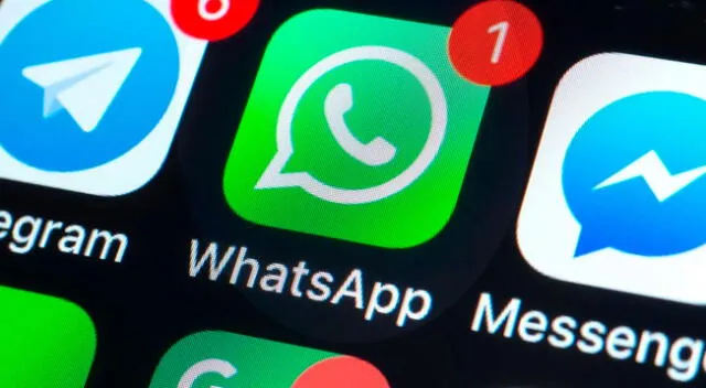 ¿Qué pasará con mi celular si no acepto las nuevas políticas de WhatsApp?