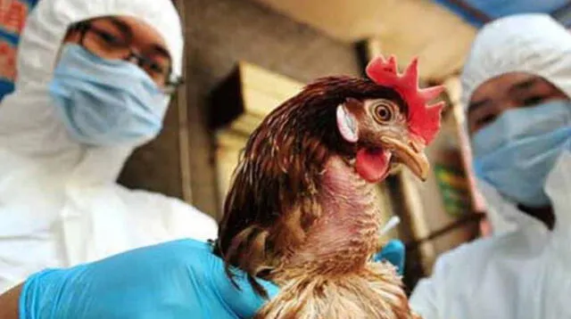 El ministro principal de Delhi, Arvind Kejriwal, anunció la prohibición de la importación de aves vivas en la ciudad.
