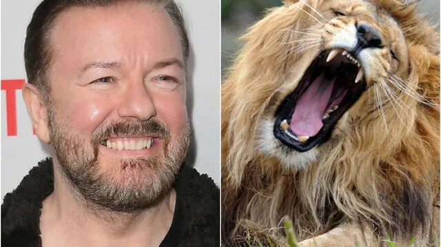 El humorista Ricky Gervais se ha convertido en la sensación en ese país al revelar que desea donar su cuerpo a los leones de un zoológico.
