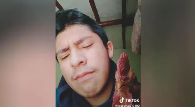 Tiktoker hace un ‘challenge’ junto a su gallo