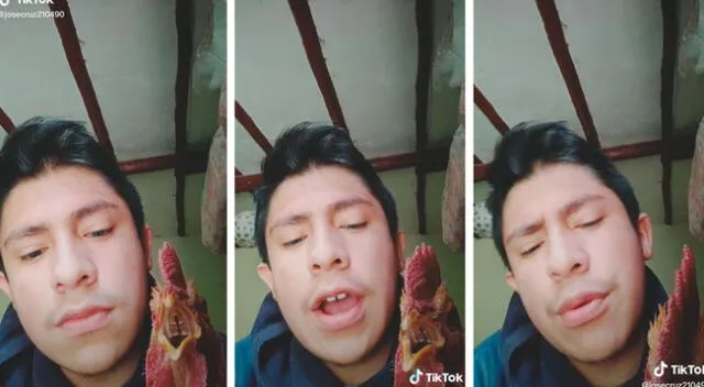 Tiktoker hace un ‘challenge’ junto a su gallo