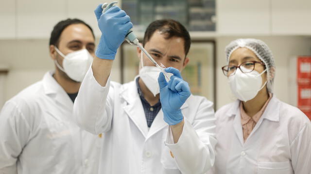 Alemania comunicó este viernes de forma preliminar su primer caso de coronavirus de la variante descubierta en Brasil.