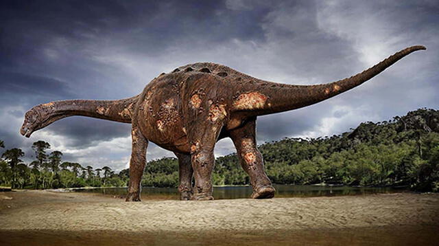 Este corresponde al dinosaurio titanosaurio, perteneciente a la familia de los saurópodos.