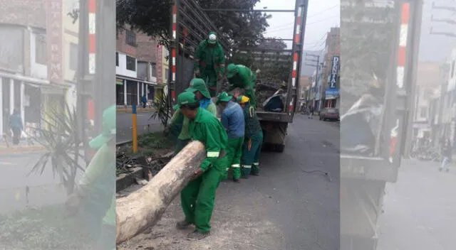 Fallece trabajadora de la Municipalidad de SMP.