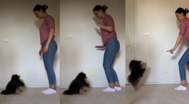 Peculiar imitación del perro se viralizó en las redes sociales.